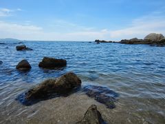 -小海豚•老字号海鲜餐厅(天涯店)