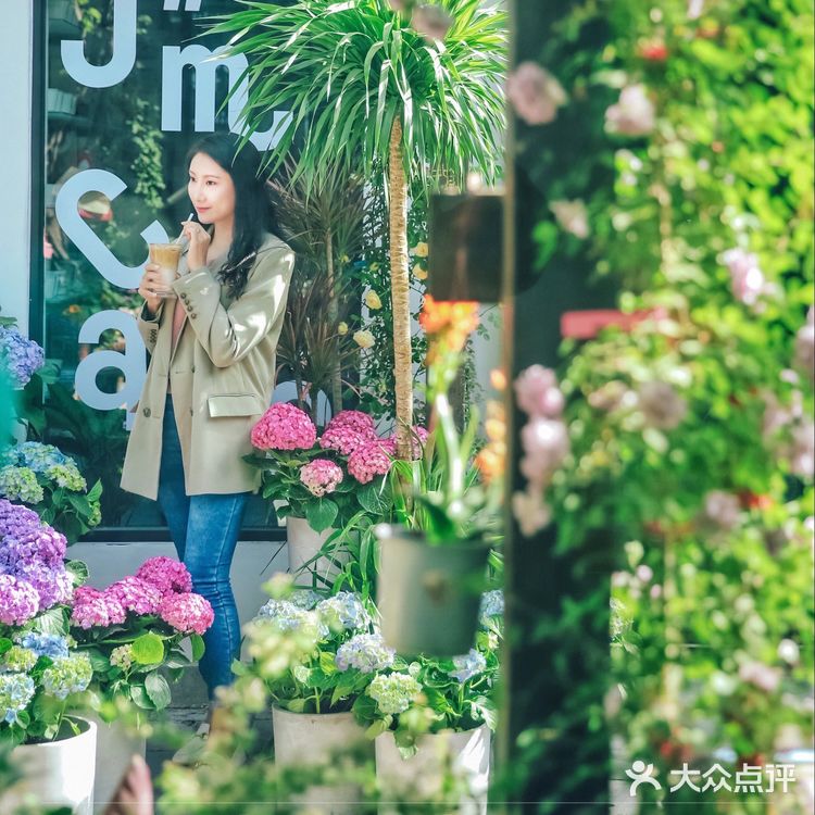 探店|在胡同绣球花盛开的小院听一曲周杰伦