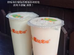 -猫的魔法密林(衣裳街店)
