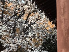 -龙华寺