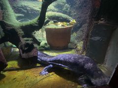 -太平洋海底世界