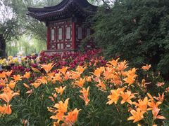 -文瀛公园
