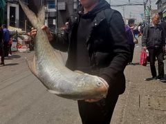 -芦潮港集贸市场