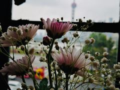 -YUE·6·西式融合餐厅(外滩六号店)