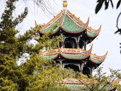 -望江楼公园