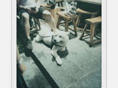 -BAKER&SPICE(安福路店)