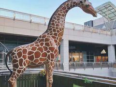 -长颈鹿咖啡(大学路店)