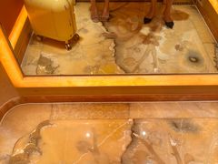 -白金汉爵大酒店(相城店)