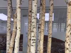 -极简口腔(总院)