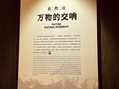 -四川大学博物馆