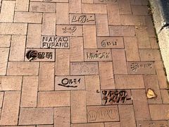 景点-北海道厅旧本厅舍(旧本庁舎)