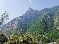 -秦岭风景区