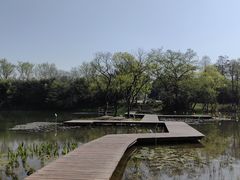 -西溪国家湿地公园