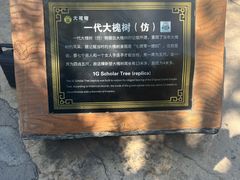 -大槐树寻根祭祖园