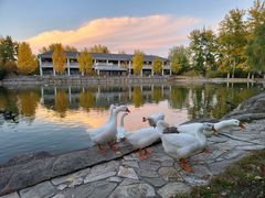 -中家鑫园温泉酒店鑫悦汤泉