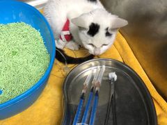 -宠颐生宠物医院·骨外科·犬猫全科诊疗中心(池州店)