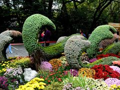 -杭州植物园
