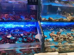 -SEA西雅图海鲜自助餐厅(海乐世界店)