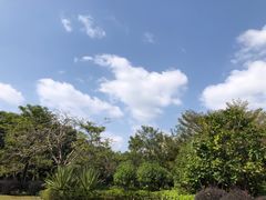 -风云岭森林公园