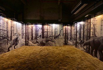 -恐龙探索乐园(磁器口店)