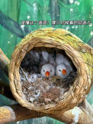 -Zoolung Zoolung动物主题公园(海信广场店)