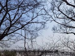 -平湖九龙山旅游度假区