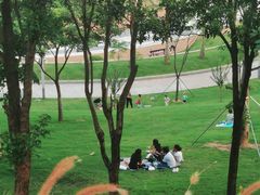 -白石龙音乐公园