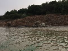 -洞里萨湖