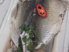 -朱仔记食府(江南大道店)