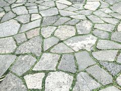 -花溪公园