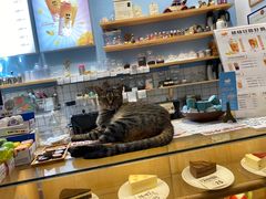 -猫的天空之城概念书店(杭州南宋御街店)