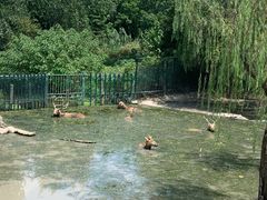 -溱湖国家湿地公园