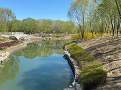 -大兴滨河森林公园