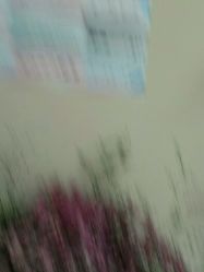 -AI艾耳·专业手工耳洞·穿孔美学馆