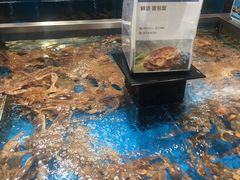 -盒马鲜生(领丰汇店)