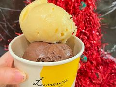 -LUNEURS月乐诗 La Glace(环贸店)