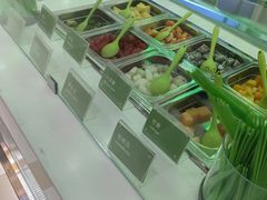 -Salud撒露欧洲冻酸奶(五道口购物中心店)