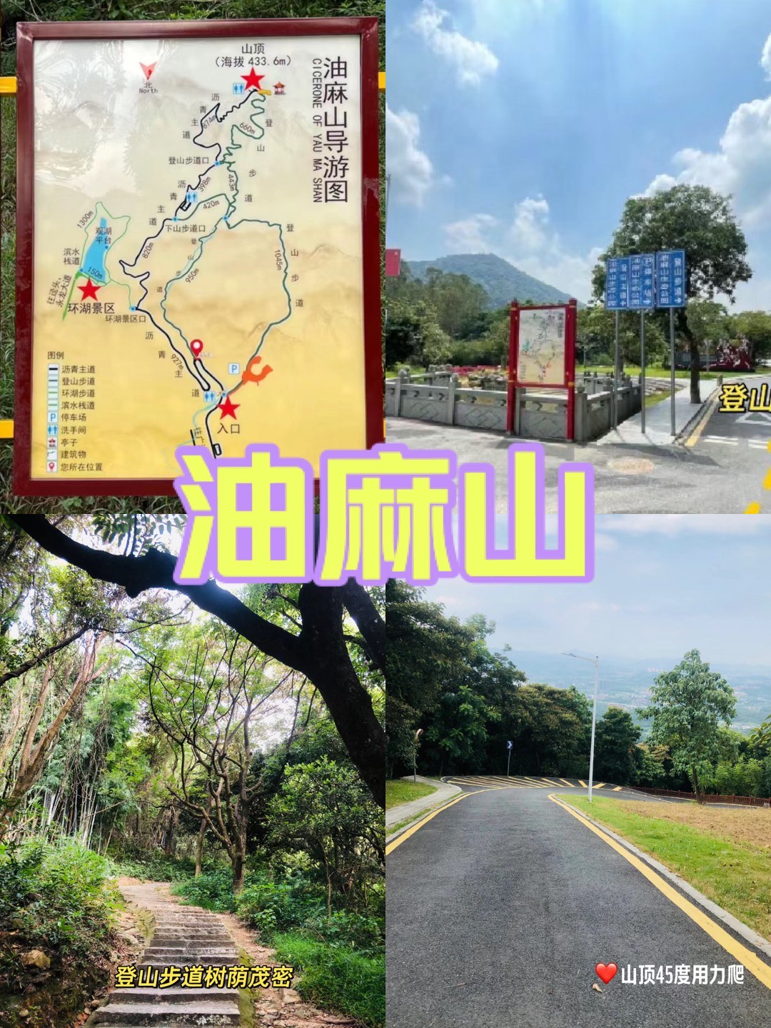 油麻山森林公园攻略图片