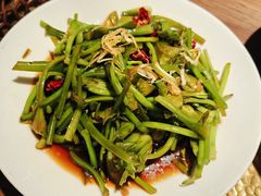 -菌自由丨野生菌火锅特色庭院餐厅(丽江古城店)