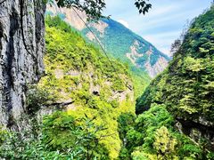 -鹿院坪生态旅游景区