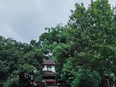 -普陀山雷迪森庄园