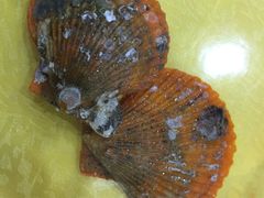 -双月饭店·20年老字号(新村店)