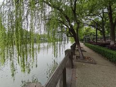 -运河游船(武林门码头)