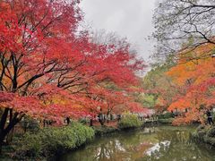 -秋霞圃