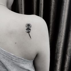 -明星刺青·洗纹身