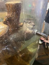 -Zoolung Zoolung动物主题公园(海信广场店)