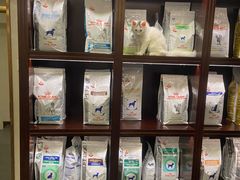 -宠爱国际动物医院·消化内科·心肾内科·ISFM猫友好(望京店)