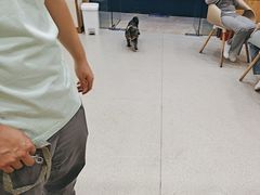 -宠颐生宠物医院·心肾内科·猫专科诊疗中心宠巢店