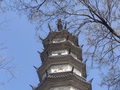 -苏州上方山国家森林公园