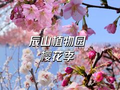 -上海辰山植物园